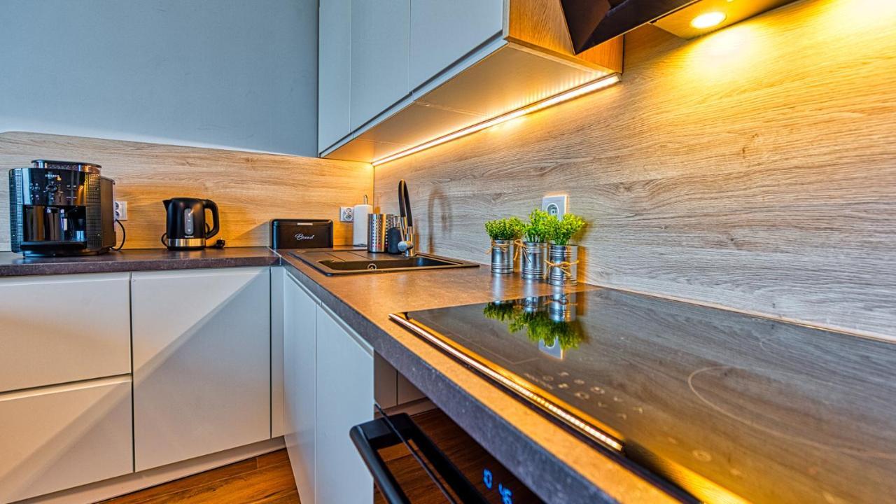 Apartament Pod Stogiem Izerskim - 5D Apartamenty Świeradów-Zdrój 外观 照片